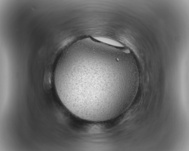 X0000086790115200704271838