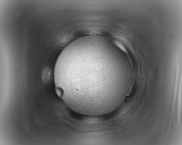 X0000086790123200704271838