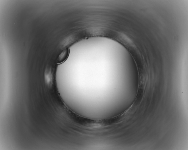 X0000086790124200704271838