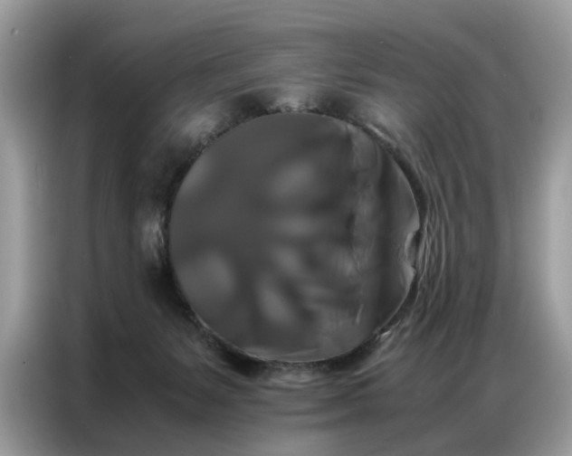 X0000086790127200704271838