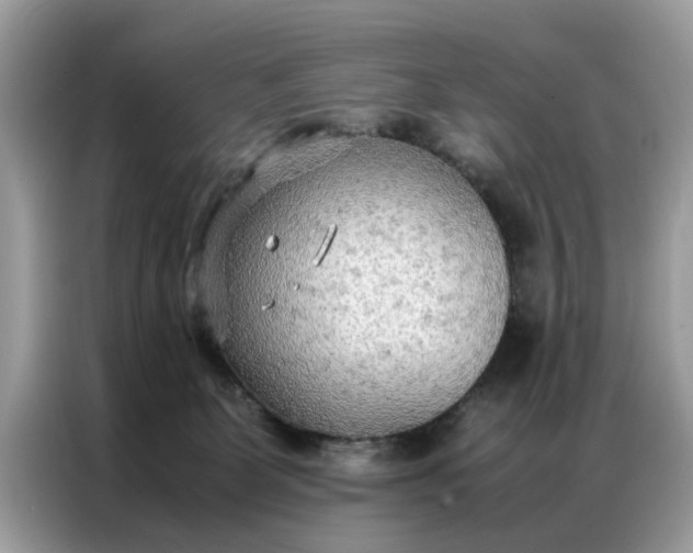 X0000086790131200704271838