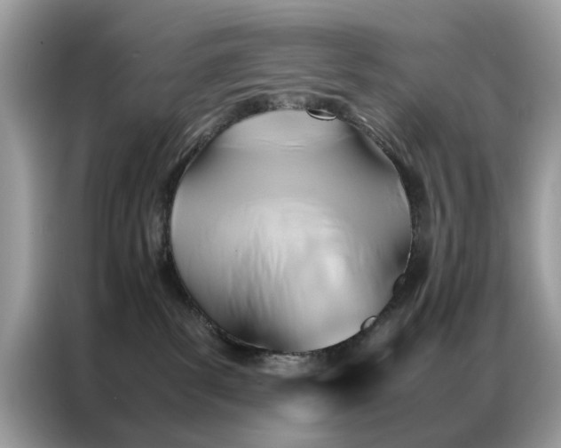 X0000086790139200704271838