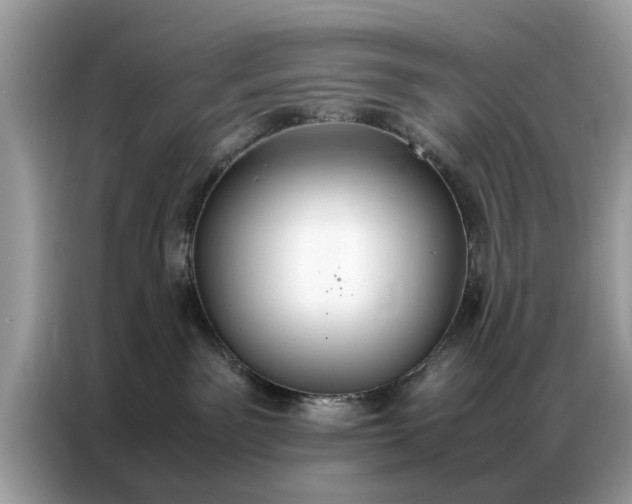 X0000086790141200704271838