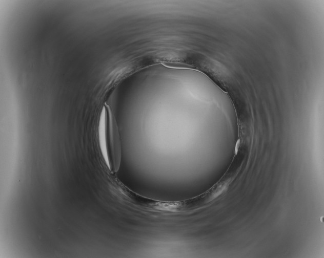 X0000086790143200704271838