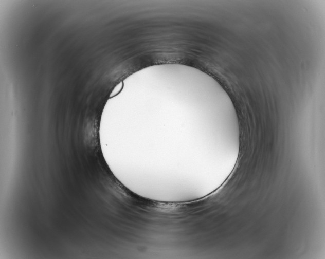 X0000086790144200704271838