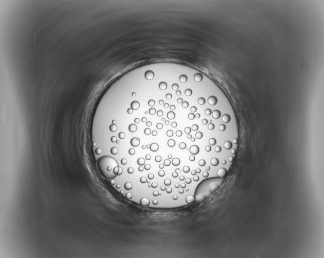 X0000086790145200704271837