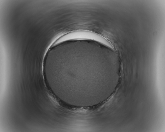 X0000086790148200704271837