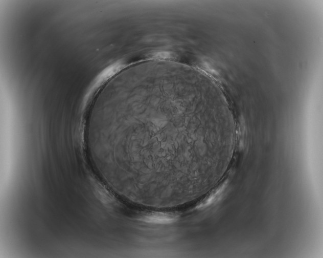 X0000086790149200704271837