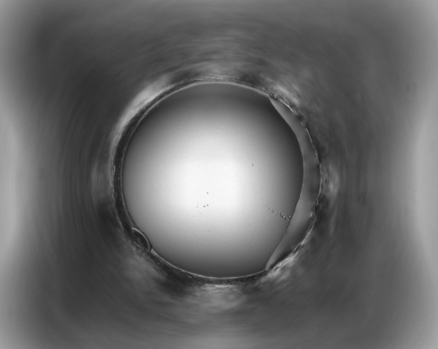 X0000086790150200704271837