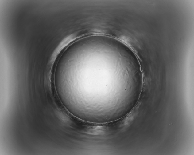 X0000086790151200704271837