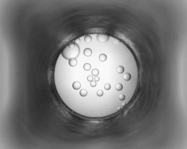 X0000086790153200704271837