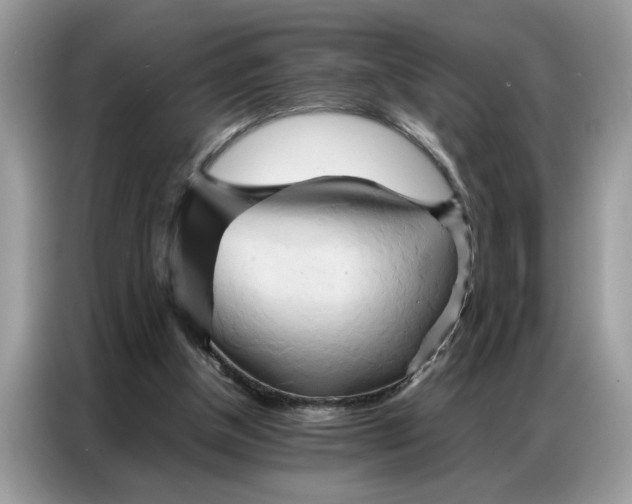 X0000086790154200704271837