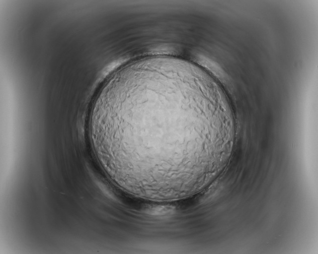 X0000086790155200704271837