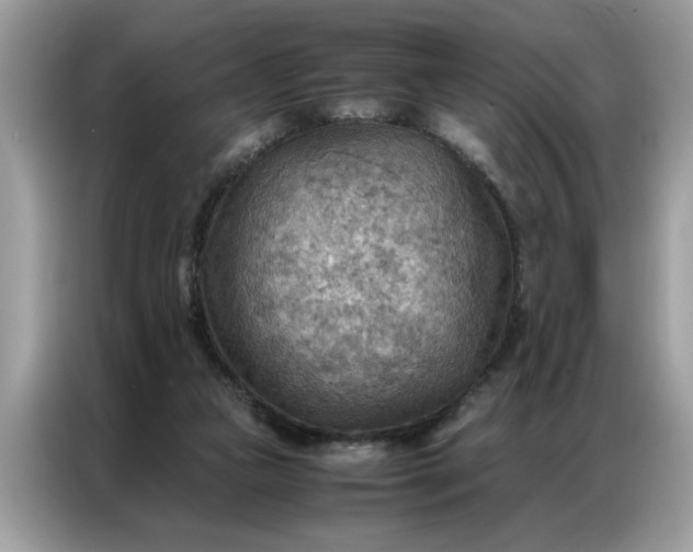 X0000086790161200704271837