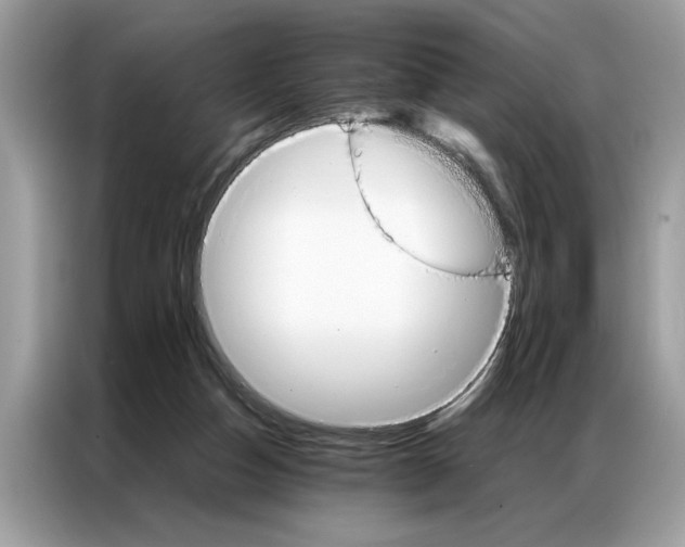 X0000086790162200704271837