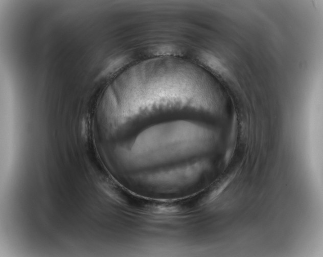 X0000086790165200704271837