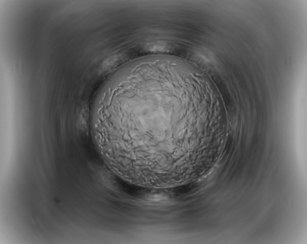 X0000086790175200704271837