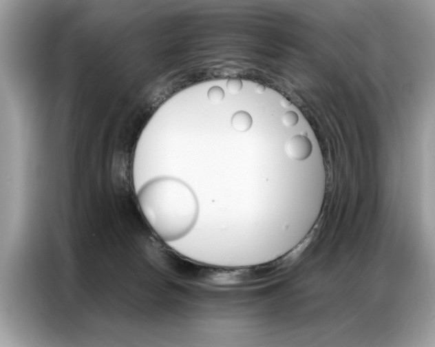 X0000086790178200704271837