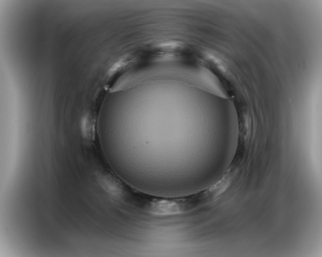 X0000086790180200704271837