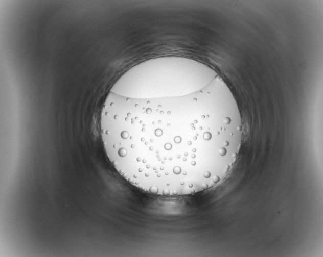 X0000086790187200704271837