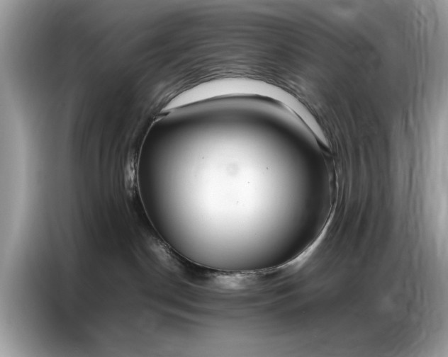 X0000086790190200704271838