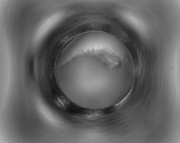 X0000086790191200704271838