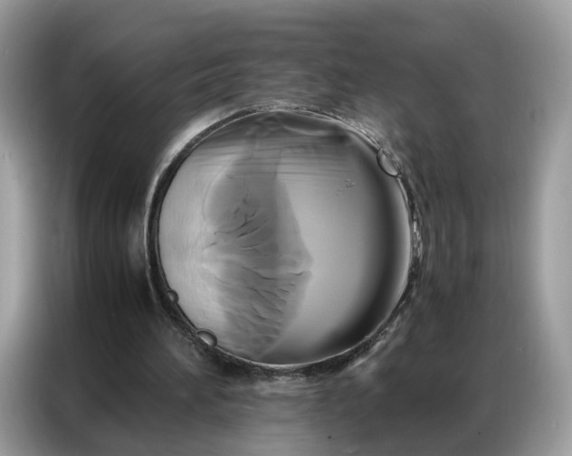 X0000086790196200704271837