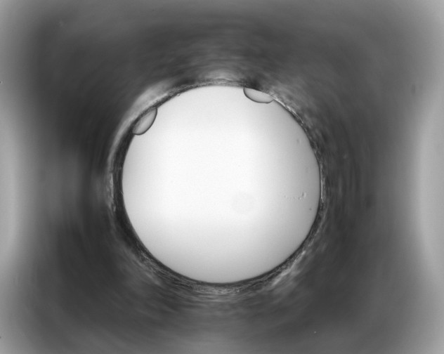 X0000086790198200704271837