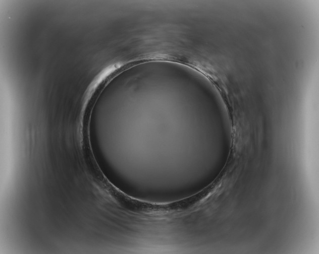 X0000086790200200704271837