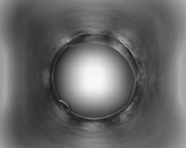 X0000086790201200704271837