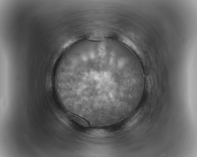 X0000086790203200704271837