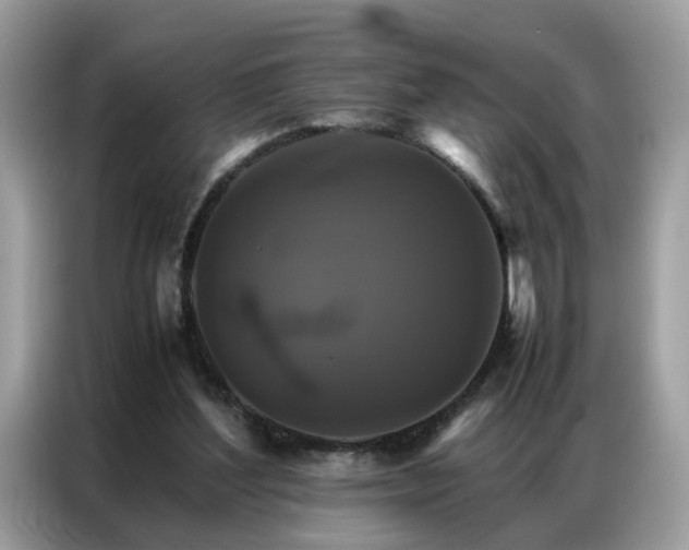 X0000086790204200704271837