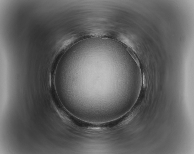 X0000086790205200704271837