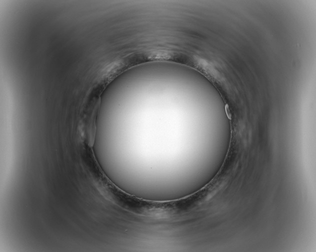 X0000086790209200704271837