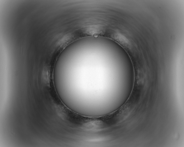 X0000086790210200704271837