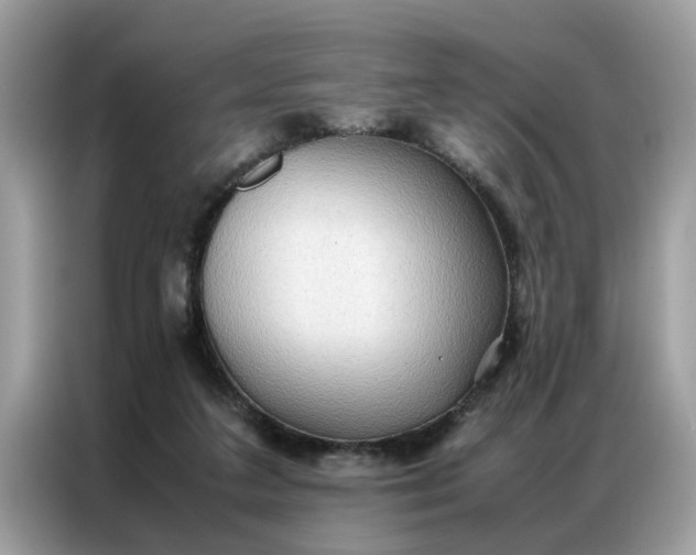 X0000086790211200704271837