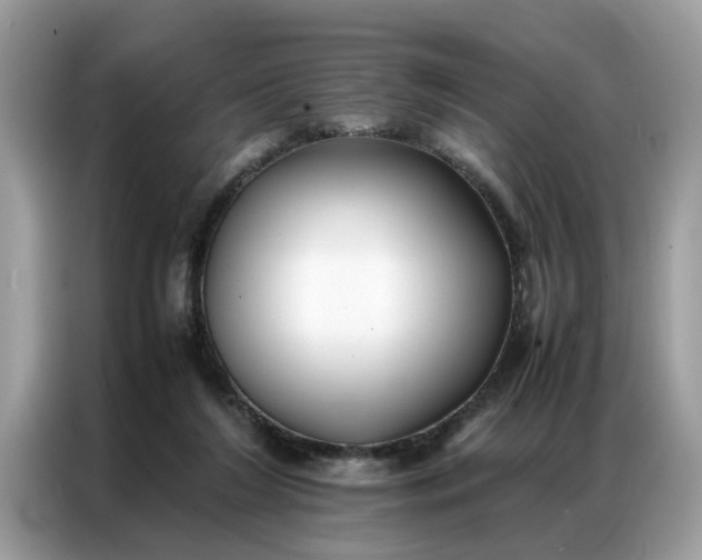 X0000086790212200704271837