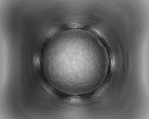 X0000086790214200704271837