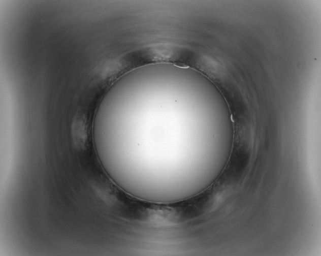 X0000086790215200704271837