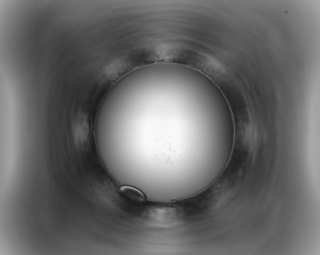 X0000086790220200704271837