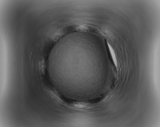 X0000086790223200704271837