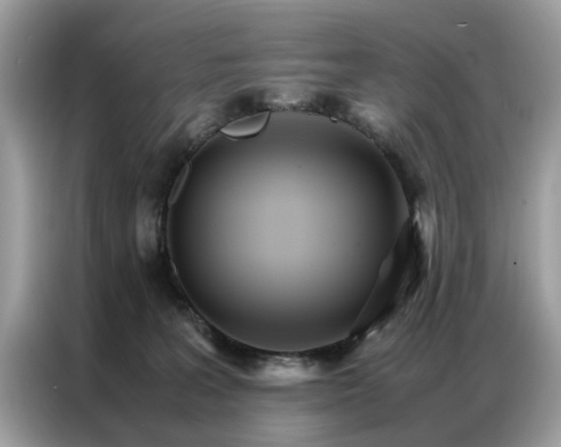 X0000086790227200704271836