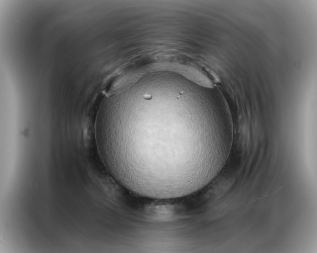 X0000086790228200704271836