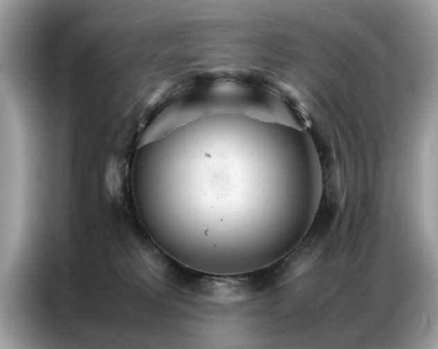 X0000086790229200704271836