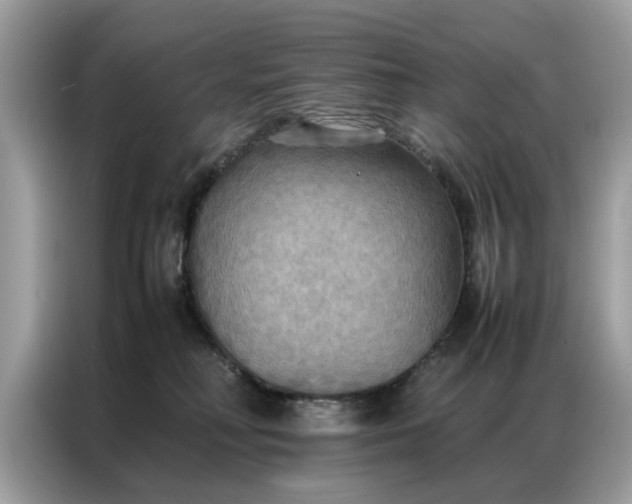 X0000086790230200704271836