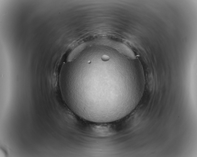 X0000086790232200704271836