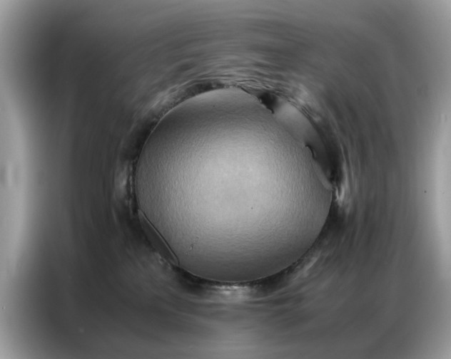 X0000086790233200704271836