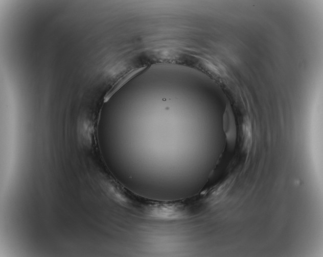 X0000086790235200704271836