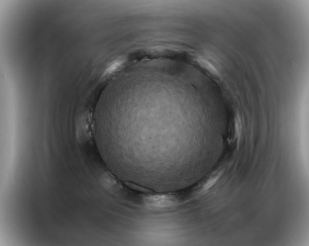 X0000086790237200704271836