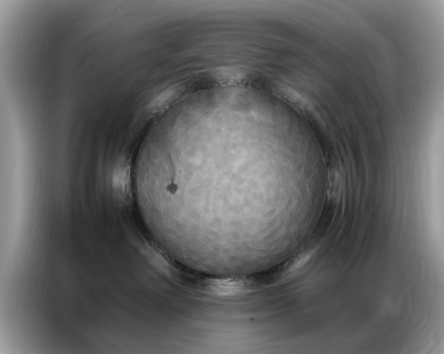 X0000086790238200704271836